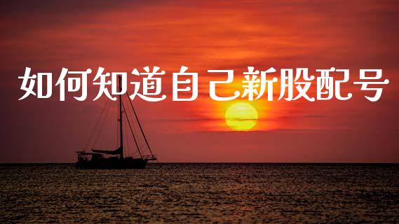 如何知道自己新股配号_https://m.kuaijiepai.net_股票交易_第1张