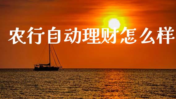 农行自动理财怎么样_https://m.kuaijiepai.net_资产证券化_第1张