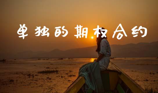 单独的期权合约_https://m.kuaijiepai.net_资产证券化_第1张