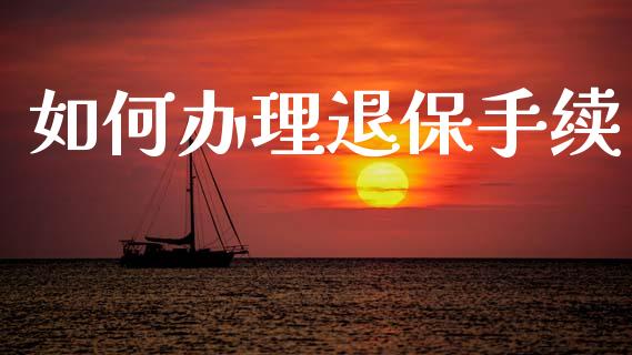 如何办理退保手续_https://m.kuaijiepai.net_债券投资_第1张