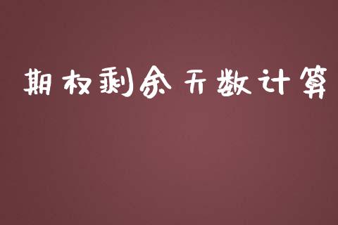 期权剩余天数计算_https://m.kuaijiepai.net_债券投资_第1张