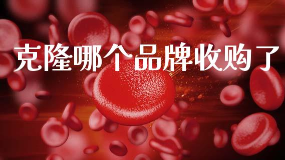 克隆哪个品牌收购了_https://m.kuaijiepai.net_资产证券化_第1张