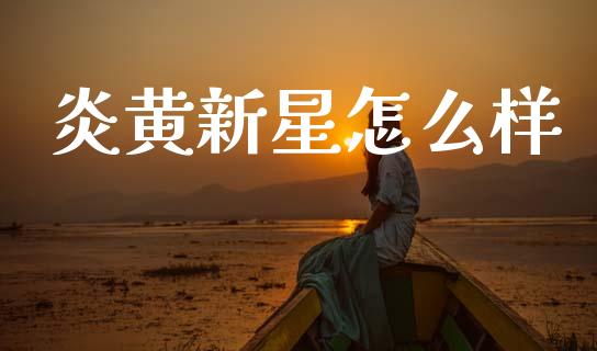 炎黄新星怎么样_https://m.kuaijiepai.net_货币基金_第1张