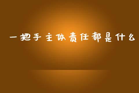 一把手主体责任都是什么_https://m.kuaijiepai.net_资产证券化_第1张