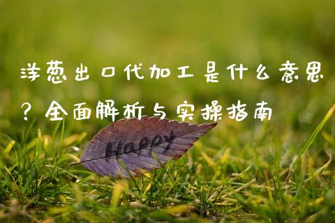 洋葱出口代加工是什么意思？全面解析与实操指南_https://m.kuaijiepai.net_债券投资_第1张