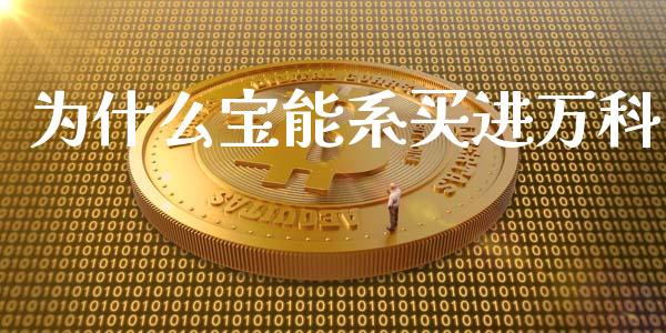 为什么宝能系买进万科_https://m.kuaijiepai.net_资产证券化_第1张