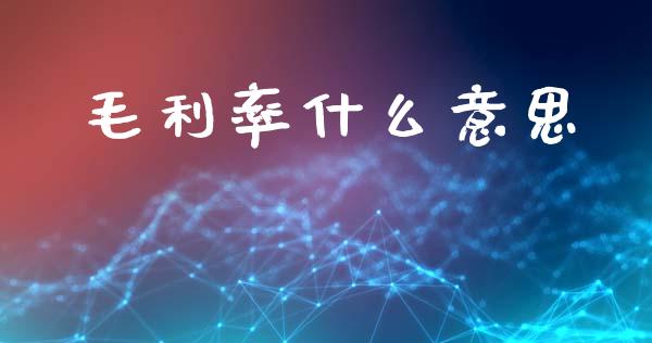 毛利率什么意思_https://m.kuaijiepai.net_货币基金_第1张