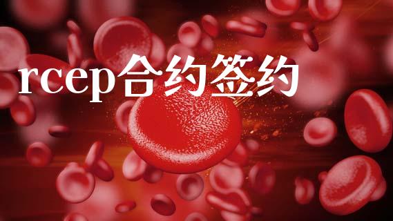 rcep合约签约_https://m.kuaijiepai.net_债券投资_第1张