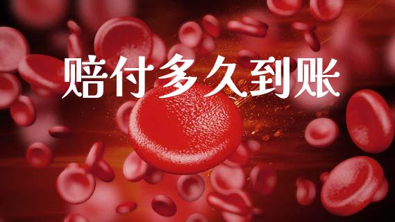 赔付多久到账_https://m.kuaijiepai.net_债券投资_第1张