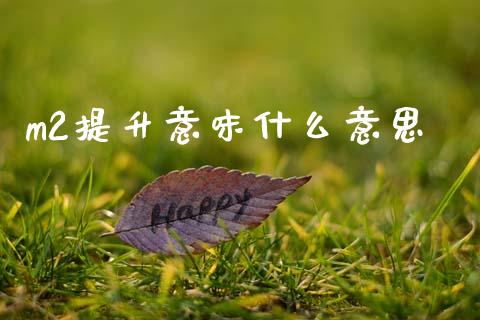 m2提升意味什么意思_https://m.kuaijiepai.net_资产证券化_第1张