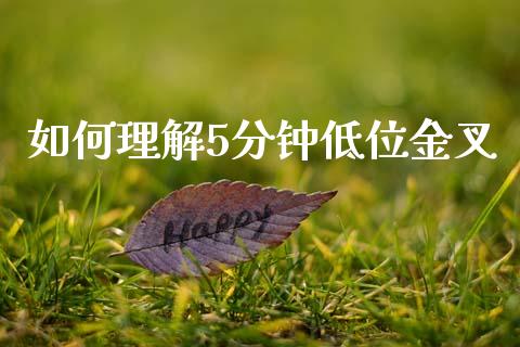 如何理解5分钟低位金叉_https://m.kuaijiepai.net_货币基金_第1张