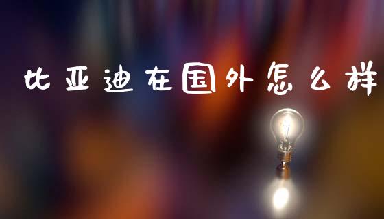比亚迪在国外怎么样_https://m.kuaijiepai.net_货币基金_第1张