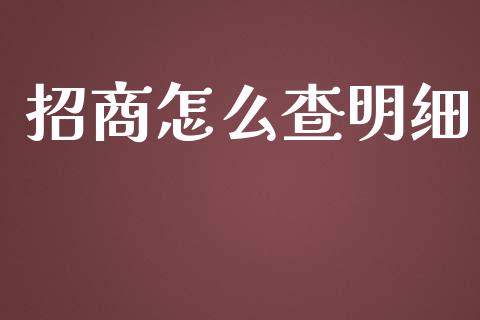 招商怎么查明细_https://m.kuaijiepai.net_资产证券化_第1张