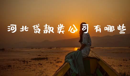 河北贷款类公司有哪些_https://m.kuaijiepai.net_资产证券化_第1张