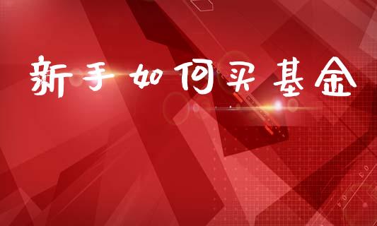 新手如何买基金_https://m.kuaijiepai.net_债券投资_第1张