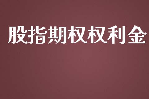 股指期权权利金_https://m.kuaijiepai.net_货币基金_第1张
