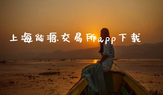 上海能源交易所app下载_https://m.kuaijiepai.net_债券投资_第1张