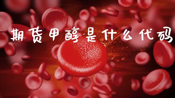 期货甲醇是什么代码_https://m.kuaijiepai.net_债券投资_第1张