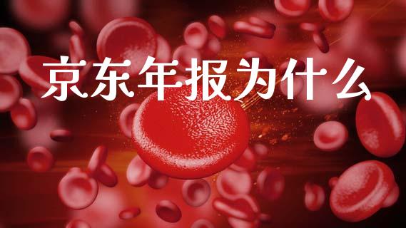 京东年报为什么_https://m.kuaijiepai.net_债券投资_第1张