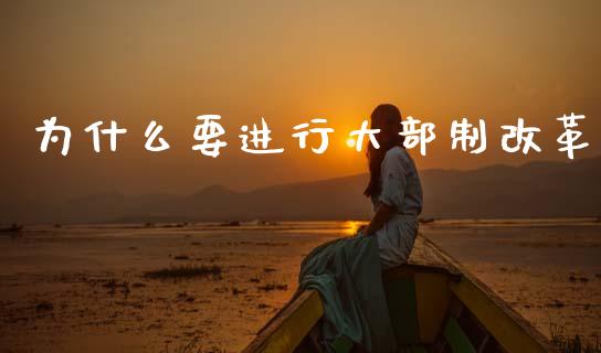为什么要进行大部制改革_https://m.kuaijiepai.net_货币基金_第1张