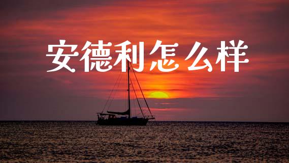 安德利怎么样_https://m.kuaijiepai.net_货币基金_第1张