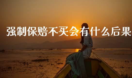 强制保赔不买会有什么后果_https://m.kuaijiepai.net_债券投资_第1张