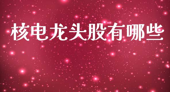 核电龙头股有哪些_https://m.kuaijiepai.net_资产证券化_第1张