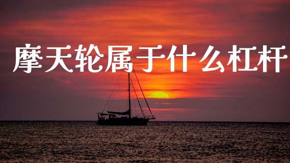 摩天轮属于什么杠杆_https://m.kuaijiepai.net_资产证券化_第1张
