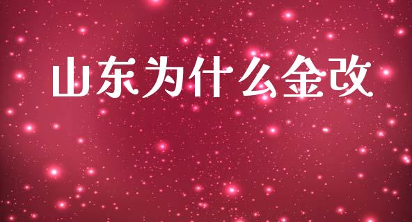 山东为什么金改_https://m.kuaijiepai.net_股票交易_第1张
