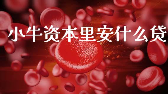 小牛资本里安什么贷_https://m.kuaijiepai.net_债券投资_第1张