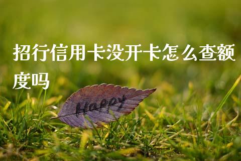 招行信用卡没开卡怎么查额度吗_https://m.kuaijiepai.net_资产证券化_第1张