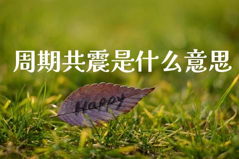周期共震是什么意思_https://m.kuaijiepai.net_货币基金_第1张