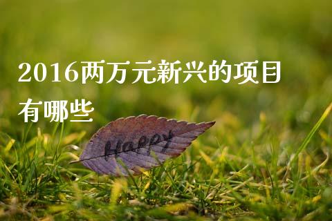 2016两万元新兴的项目有哪些_https://m.kuaijiepai.net_资产证券化_第1张