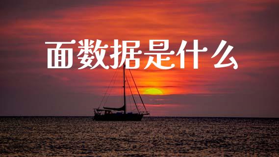 面数据是什么_https://m.kuaijiepai.net_资产证券化_第1张