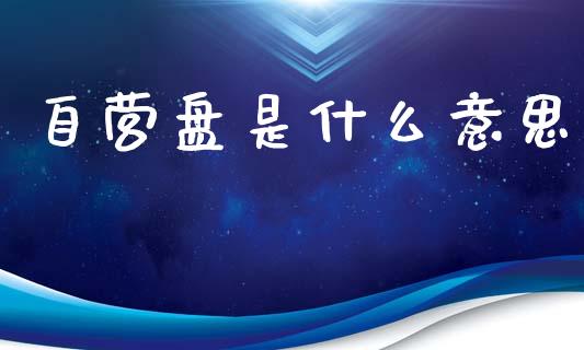 自营盘是什么意思_https://m.kuaijiepai.net_货币基金_第1张