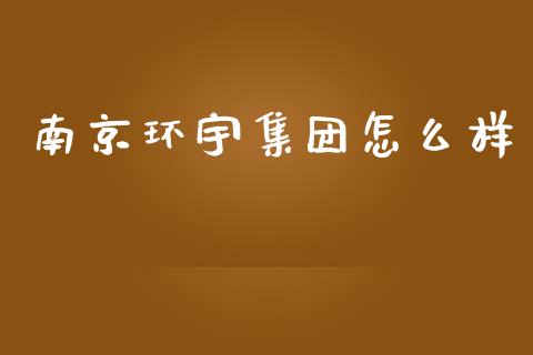 南京环宇集团怎么样_https://m.kuaijiepai.net_资产证券化_第1张