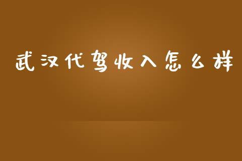 武汉代驾收入怎么样_https://m.kuaijiepai.net_资产证券化_第1张