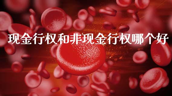 现金行权和非现金行权哪个好_https://m.kuaijiepai.net_货币基金_第1张