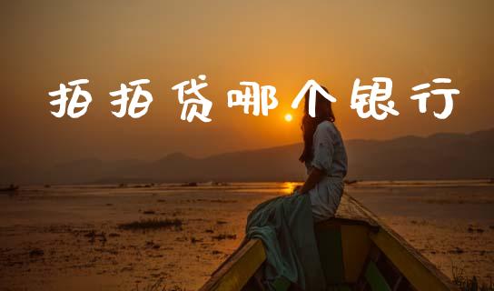 拍拍贷哪个银行_https://m.kuaijiepai.net_资产证券化_第1张