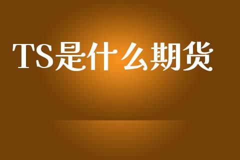 TS是什么期货_https://m.kuaijiepai.net_债券投资_第1张