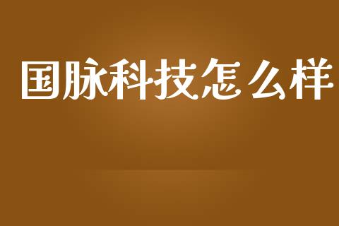 国脉科技怎么样_https://m.kuaijiepai.net_资产证券化_第1张