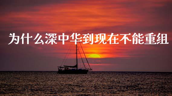 为什么深中华到现在不能重组_https://m.kuaijiepai.net_债券投资_第1张