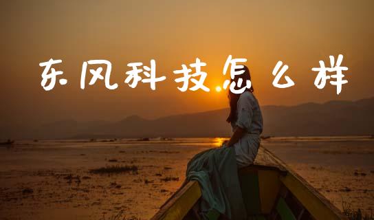 东风科技怎么样_https://m.kuaijiepai.net_股票交易_第1张