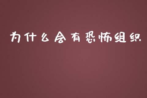 为什么会有恐怖组织_https://m.kuaijiepai.net_股票交易_第1张