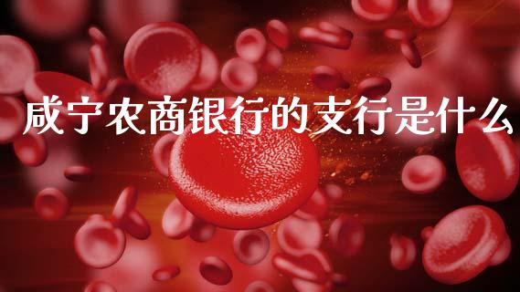 咸宁农商银行的支行是什么_https://m.kuaijiepai.net_股票交易_第1张