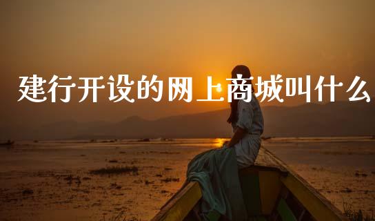 建行开设的网上商城叫什么_https://m.kuaijiepai.net_货币基金_第1张