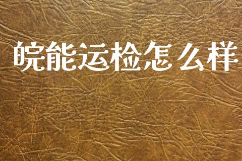 皖能运检怎么样_https://m.kuaijiepai.net_债券投资_第1张