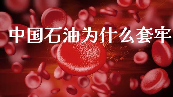 中国石油为什么套牢_https://m.kuaijiepai.net_资产证券化_第1张