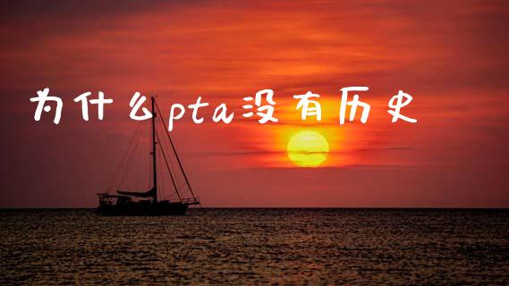 为什么pta没有历史_https://m.kuaijiepai.net_股票交易_第1张