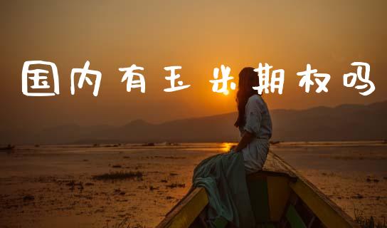 国内有玉米期权吗_https://m.kuaijiepai.net_债券投资_第1张